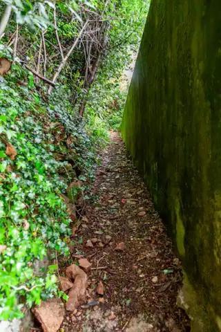 Rifugio Sul Lago Di Lugano A Porto Ceresio Εξωτερικό φωτογραφία